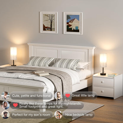 Grey Bedside Lamp for Bedroom Set of 2 - Nightstand Table Lamp with USB A + C Charging Port, 3 Color Temperatures Pull Chain Night Stand Light with Bulb, Side Table Desk Reading Lamp for Living Room - Available at All In One Marketplace Canada