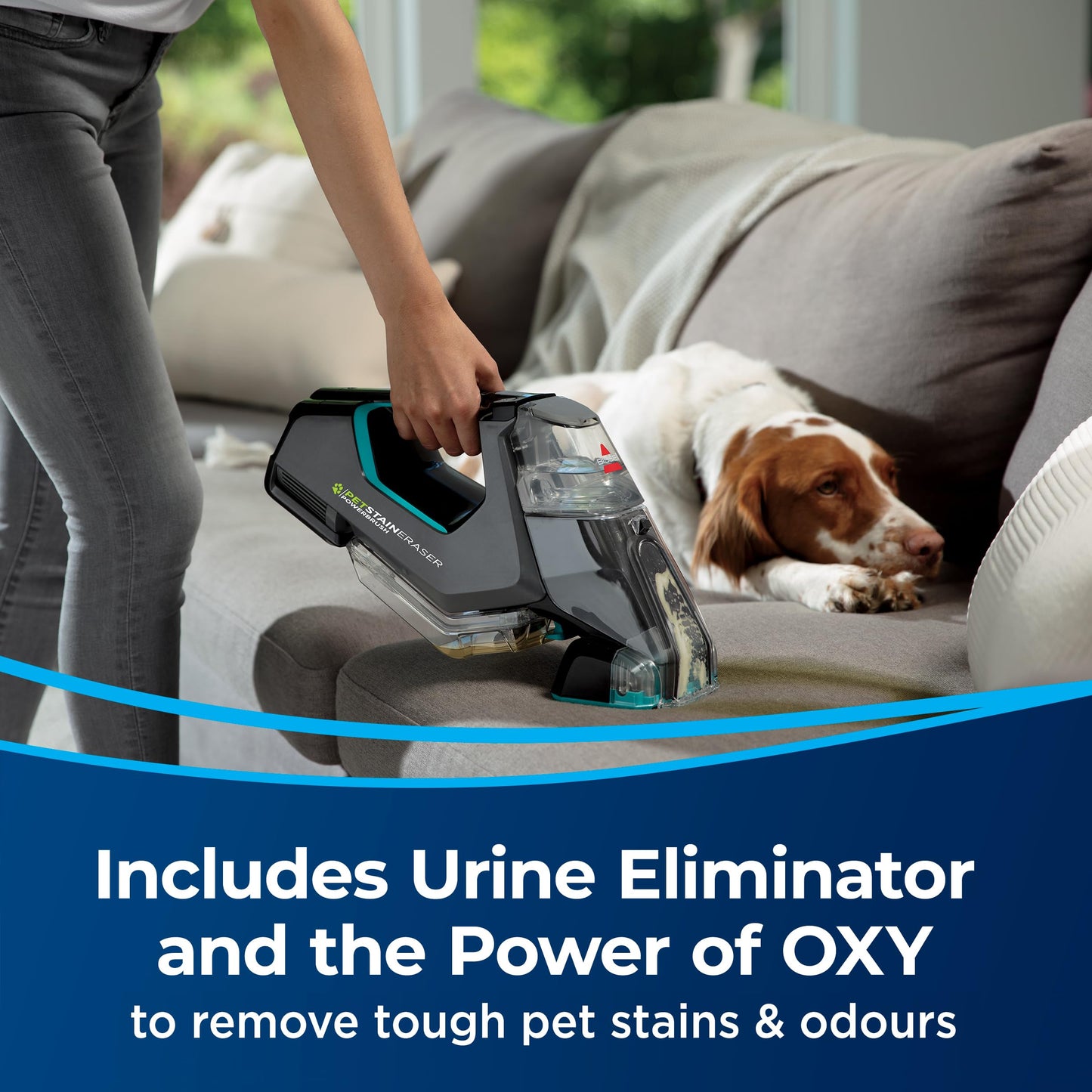BISSELL Professional Pet Spot and Stain Plus OXY Formula for Portable Carpet Cleaners, 32oz, Removes Pet Urine Vomit and Odours, Car Detailer Solution, Little Green and SpotClean Compatible, 2034C