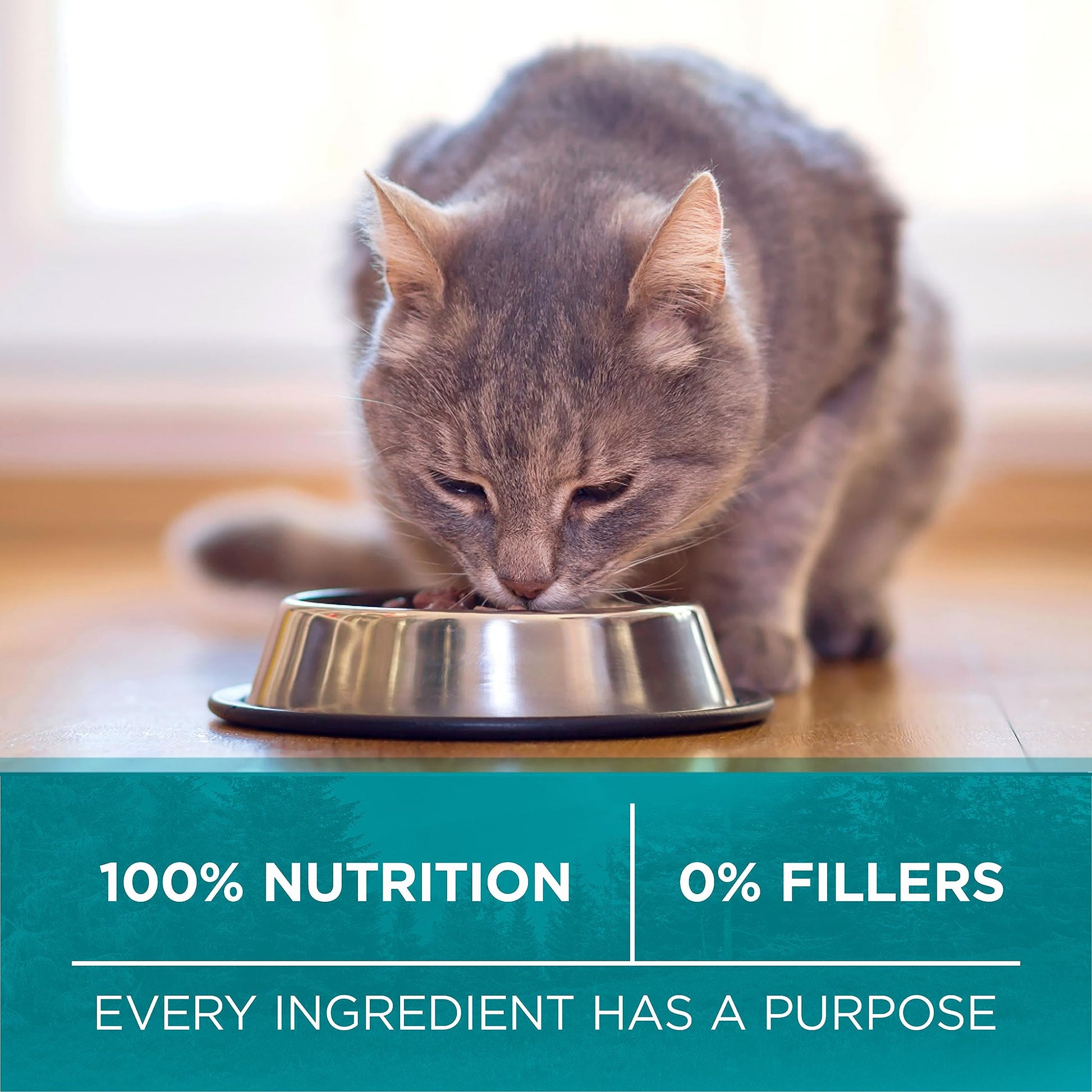 Purina ONE True Instinct Grain Free Dry Cat Food, High Protein Chicken - 6.53 kg Bag