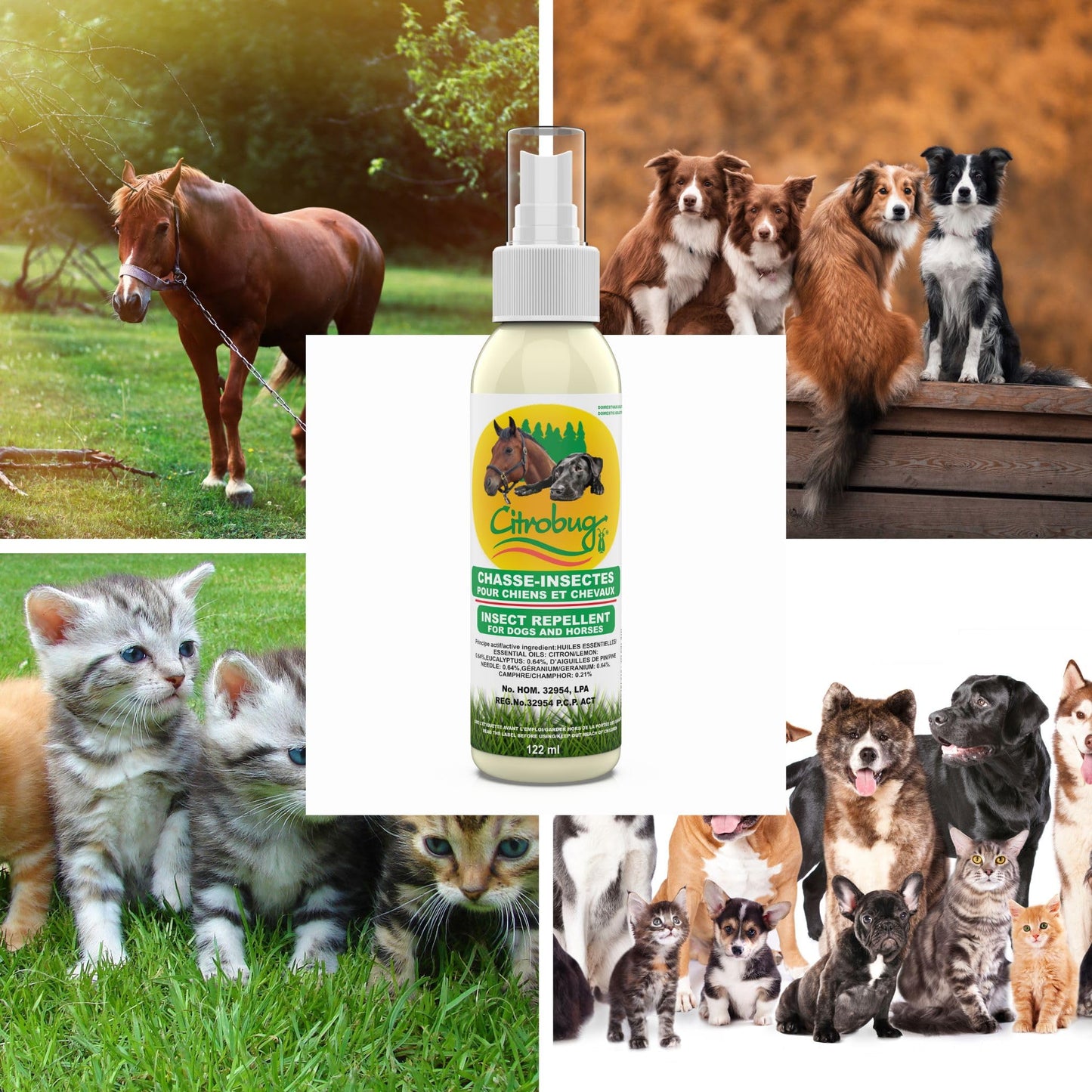 Citrobug Essential Oils Based Insect Repellent for Dogs and Horses - No Deet, 122 ml