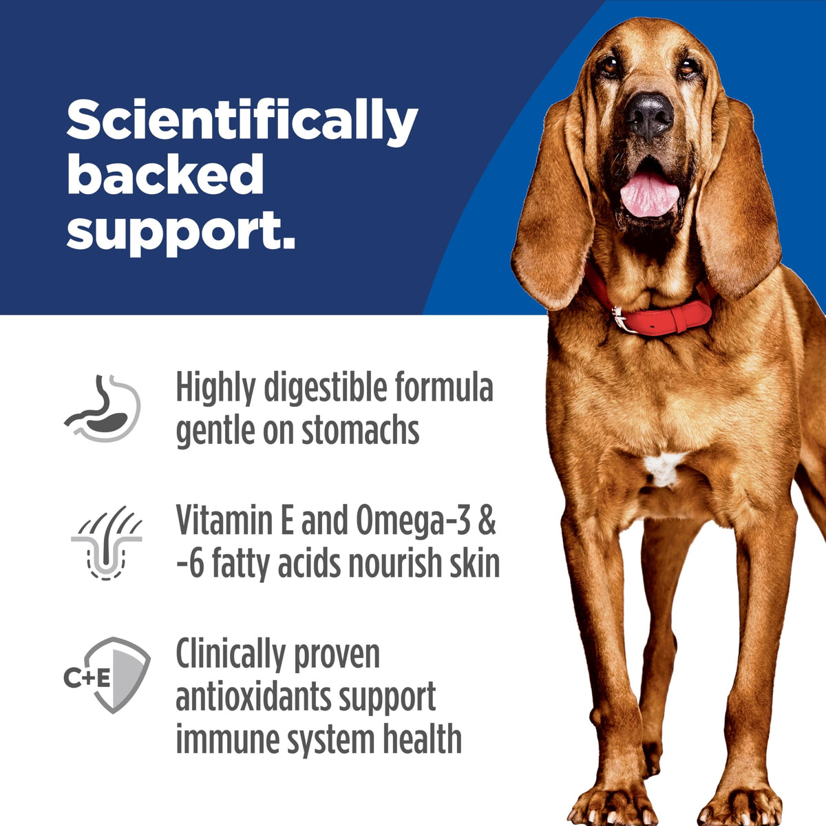 Hill's Science Diet Sensitive Stomach & Skin Large Breed Adult Dry Dog Food
