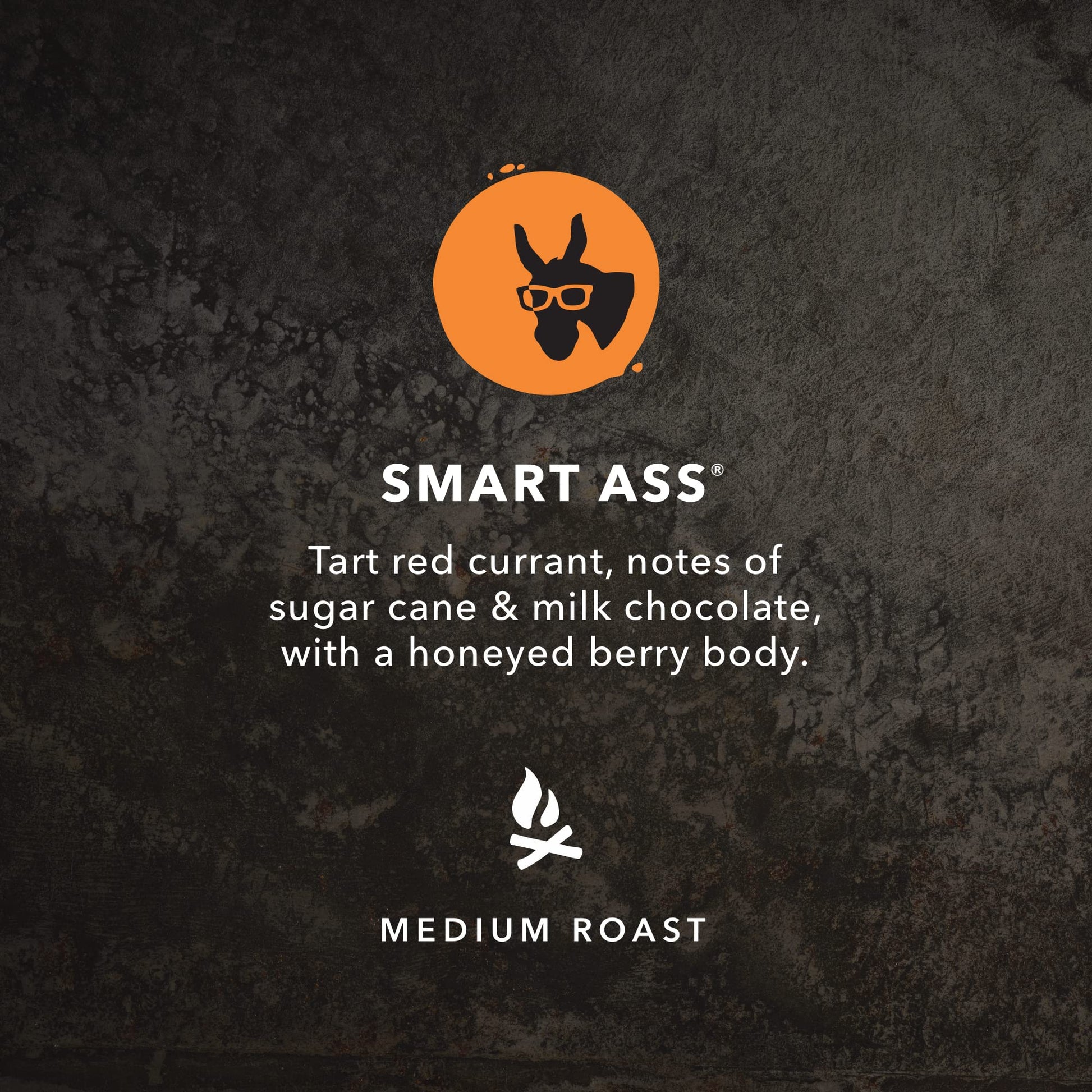 Kicking Horse Coffee - Smart Ass Blend, Whole Bean 100% Arabica Coffee | Medium Roast | All Organic & Fairtrade | 850 g