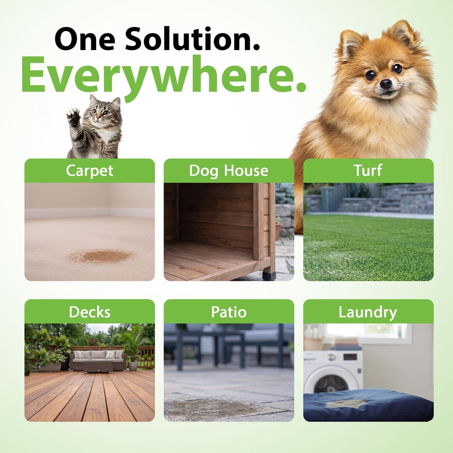 ez-clean Advanced Odor Remover- Highly Concentrated Bio Enzyme - Pet Odor Eliminator for Dog, Cat, and Small Animal Urine - Indoor & Outdoor Use for Any Organic Spills (4L jug)
