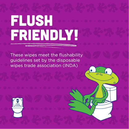 Kandoo Sensitive Flushable Cleansing Wet Wipes, Fragrance Free, Case of 12 x 42 Wipes Kandoo