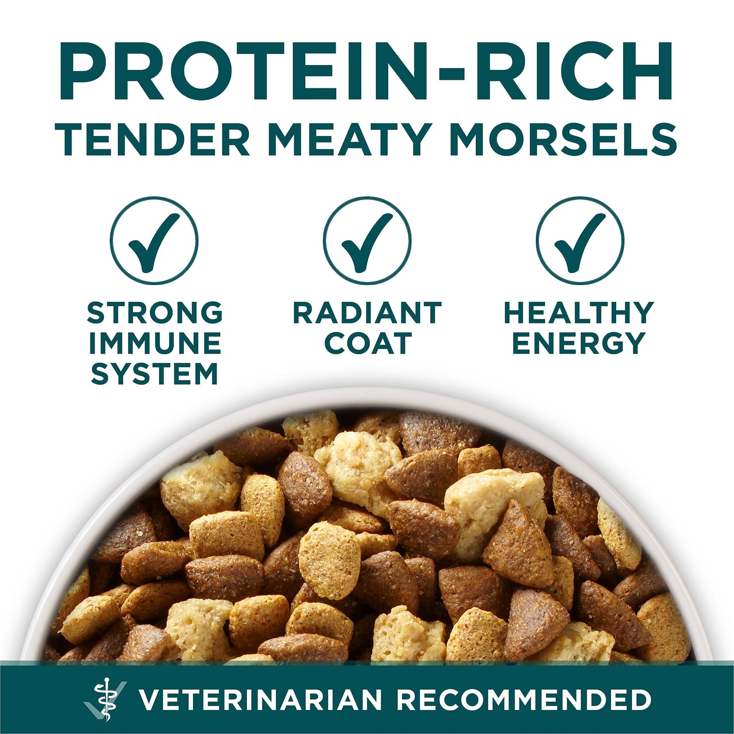 Purina ONE +Plus Large Breed Dry Puppy Food with Chicken - 14 kg Bag - Available at All In One Marketplace Canada