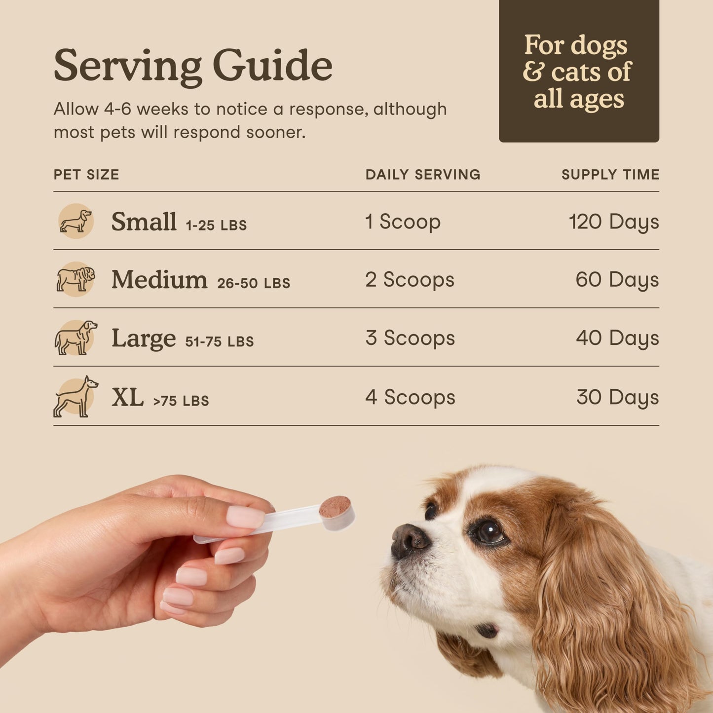 Fera Pets Turkey Tail Mushroom for Dogs & Cats - USDA Organic Supplement - Cognitive and Immune Support - Enhances Liver Function - Supports a Healthy Gut - Powder - 120 Scoops - Available at All In One Marketplace Canada