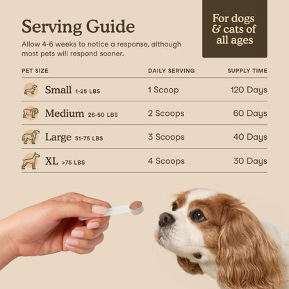 Fera Pets Turkey Tail Mushroom for Dogs & Cats - USDA Organic Supplement - Cognitive and Immune Support - Enhances Liver Function - Supports a Healthy Gut - Powder - 120 Scoops - Available at All In One Marketplace Canada