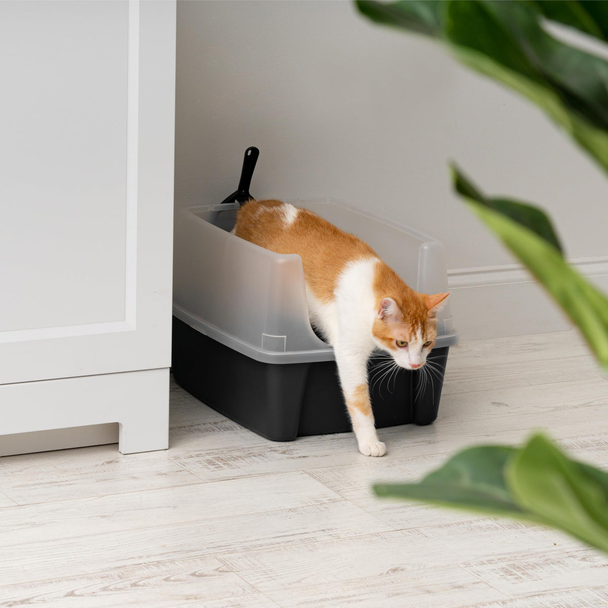 IRIS USA Large Cat Litter Box, Open Top High Sided Pan with Scoop, Black