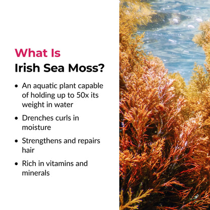 Love Ur Curls Irish Sea Moss Hair Gel, Medium Hold Hair Styling Curling Gel for Defined Curly Hair, Waves & Coils, Vegan, Cruelty Free, 236mL - Available at All In One Marketplace Canada