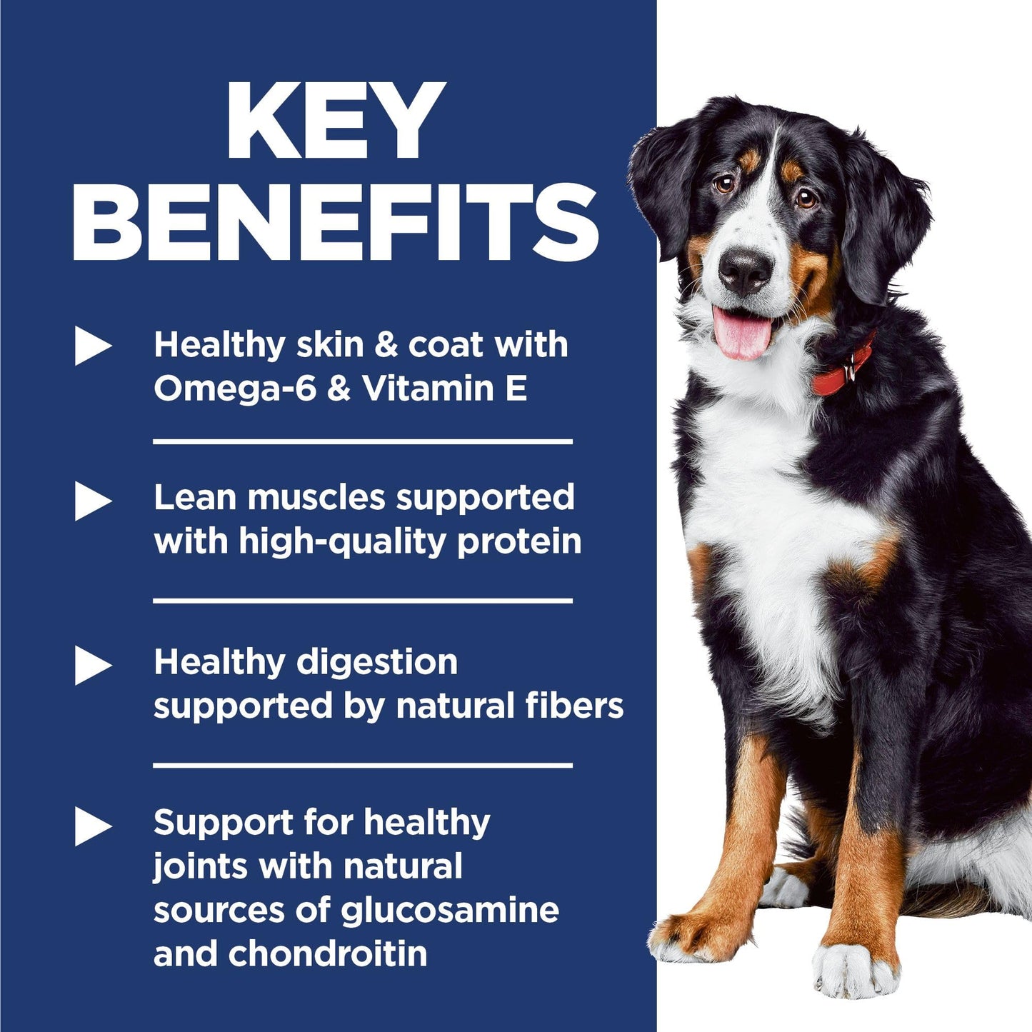 Hill's Science Diet Adult Large Breed Lamb Meal & Brown Rice Recipe Dry Dog Food 14.9 kg Bag 🍁 All In One Marketplace Canada
