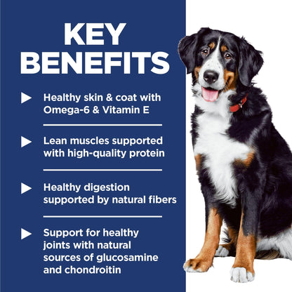 Hill's Science Diet Adult Large Breed Lamb Meal & Brown Rice Recipe Dry Dog Food 14.9 kg Bag 🍁 All In One Marketplace Canada