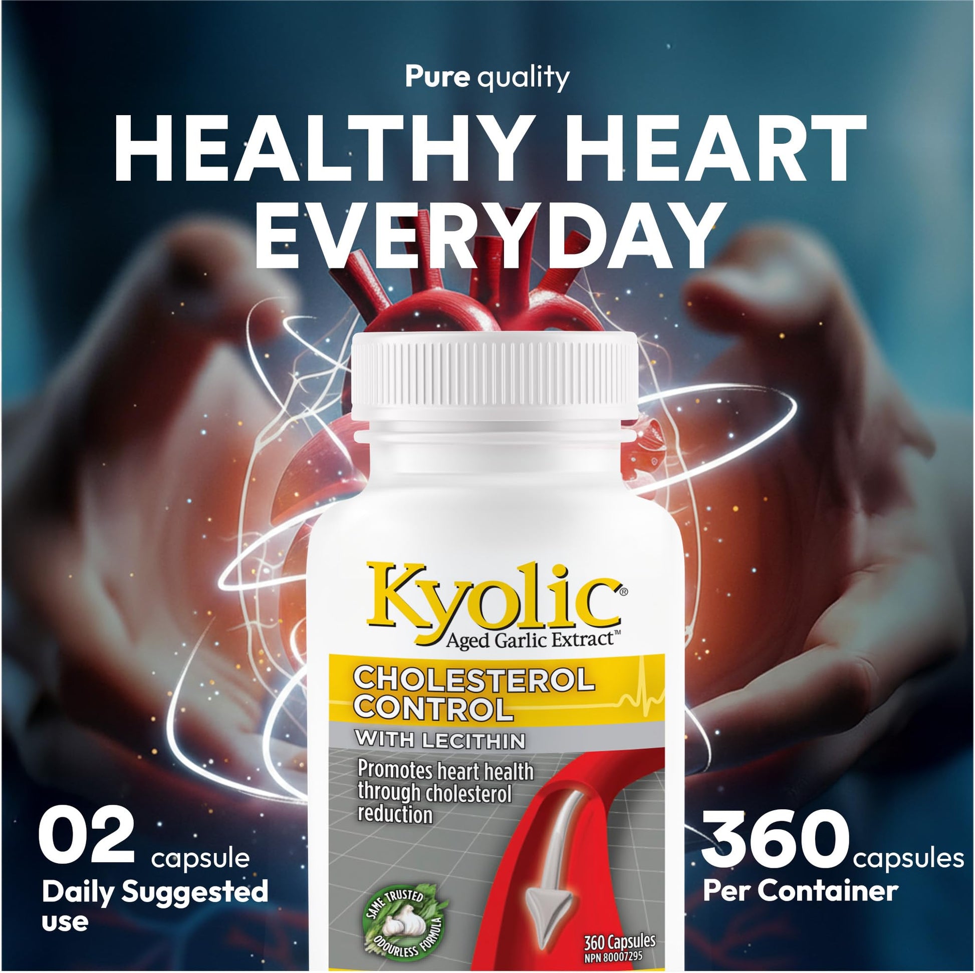Kyolic Formula 104 Aged Garlic Extract, Odourless Garlic, 360 Capsules Kyolic