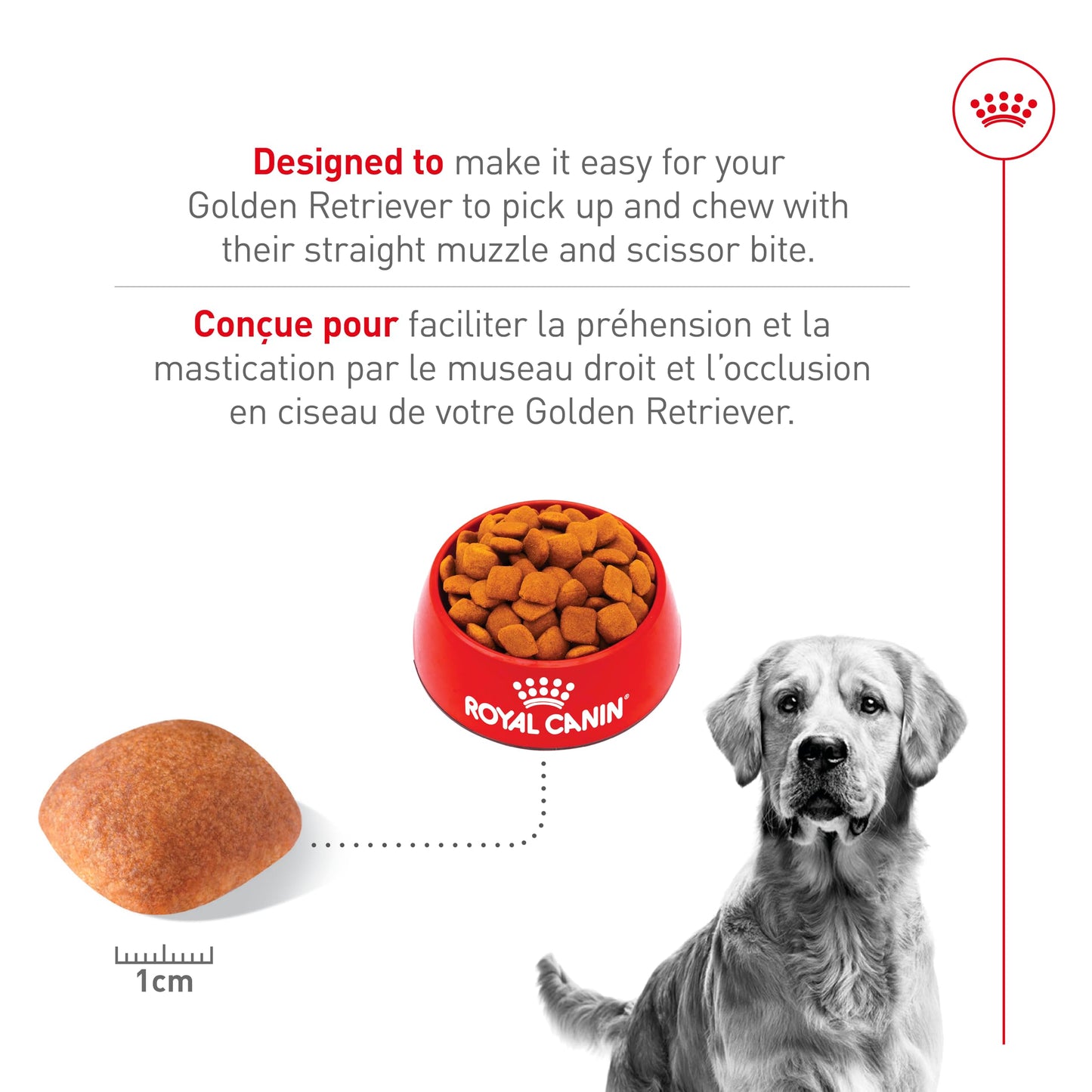 Royal Canin Golden Retriever Adult Dry Dog Food, 30 lb bag ROYAL CANIN