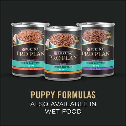 Purina Pro Plan Dry Puppy Food, Development Sensitive Skin & Stomach Salmon & Rice - 7.26 kg Bag (1 Pack) Pro Plan