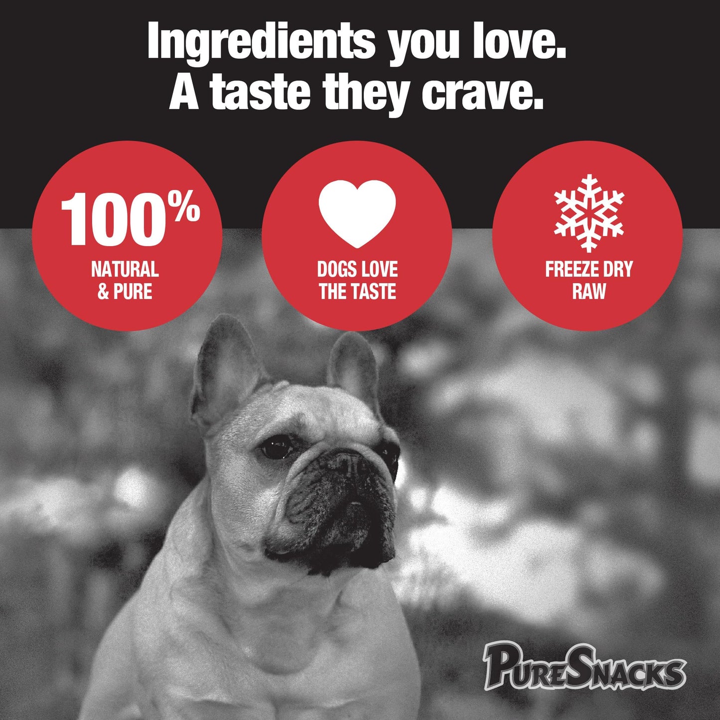 PureSnacks Chicken Single Ingredient Freeze Dried Dog Treats, 261 g 🍁 All In One Marketplace Canada