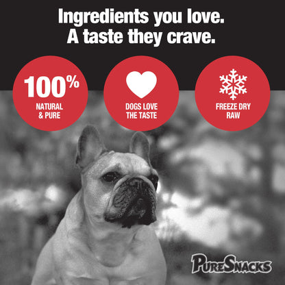 PureSnacks Chicken Single Ingredient Freeze Dried Dog Treats, 261 g 🍁 All In One Marketplace Canada