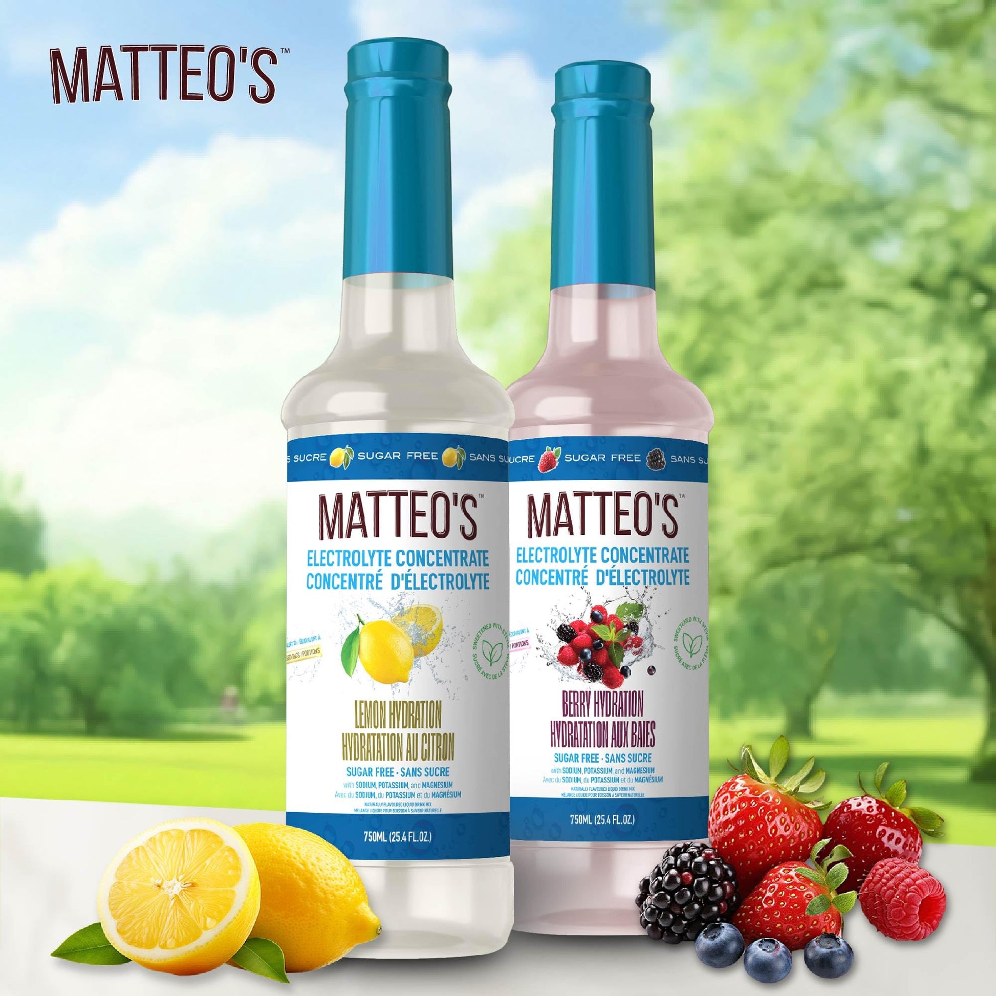 Matteo's Sugar-Free Hydration Concentrate - Electrolyte Drink for Quick Rehydration & Endurance, Ideal for Workouts, Travel, Heat & Sun, Delicious with Vitamins & Nutrients, Berry & Lemon Flavor, 750ml 2-Pack Matteo's