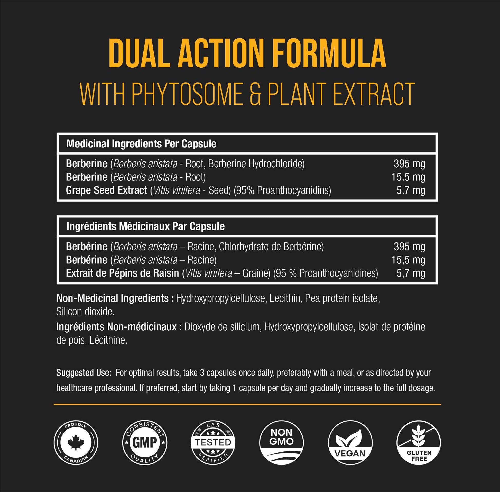 Berberine 1200mg Complex – 120 Count - Highest Purity 97% Berberine HCl + Patented Berbevis Phytosome for Max Absorption – Ultra Strength Capsules With Grape Seed Extract - Berberine Supplement Supports Glucose Metabolism & Healthy Blood Sugar Levels - Available at All In One Marketplace Canada