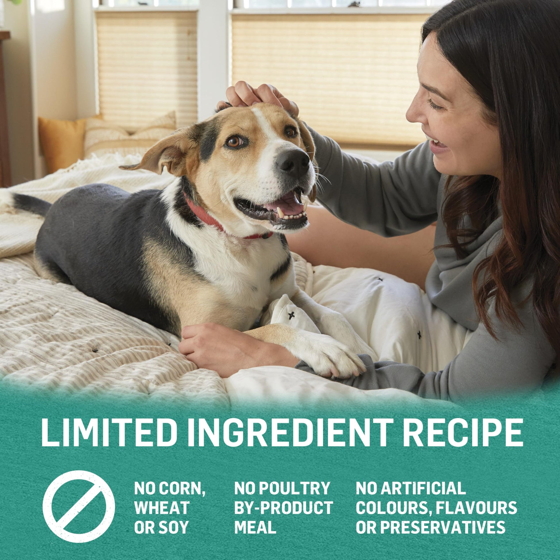 Beyond Natural Wet Dog Food, Alaskan Cod, Salmon & Sweet Potato Ground Entree - 368 g Can (12 Pack) Beyond