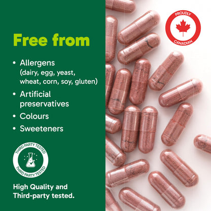 Organika Beetroot Organic- 1400mg High Potency Antioxidant, Blood-Pressure Support, Nitrous Oxide + Exercise Performance- 120vcaps - Available at All In One Marketplace Canada
