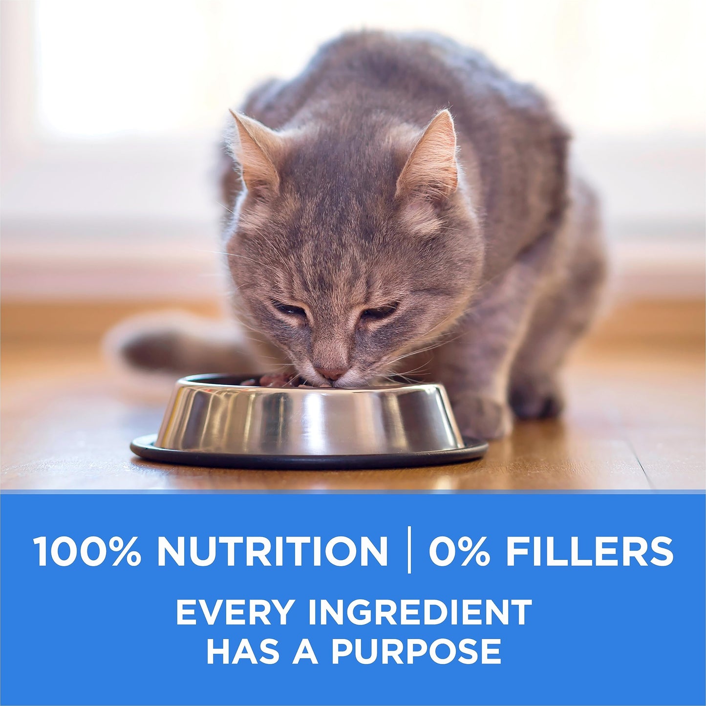 Purina ONE +Plus Dry Cat Food, Urinary Tract Formula Chicken - 3 kg Bag