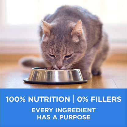 Purina ONE +Plus Dry Cat Food, Urinary Tract Formula Chicken - 3 kg Bag