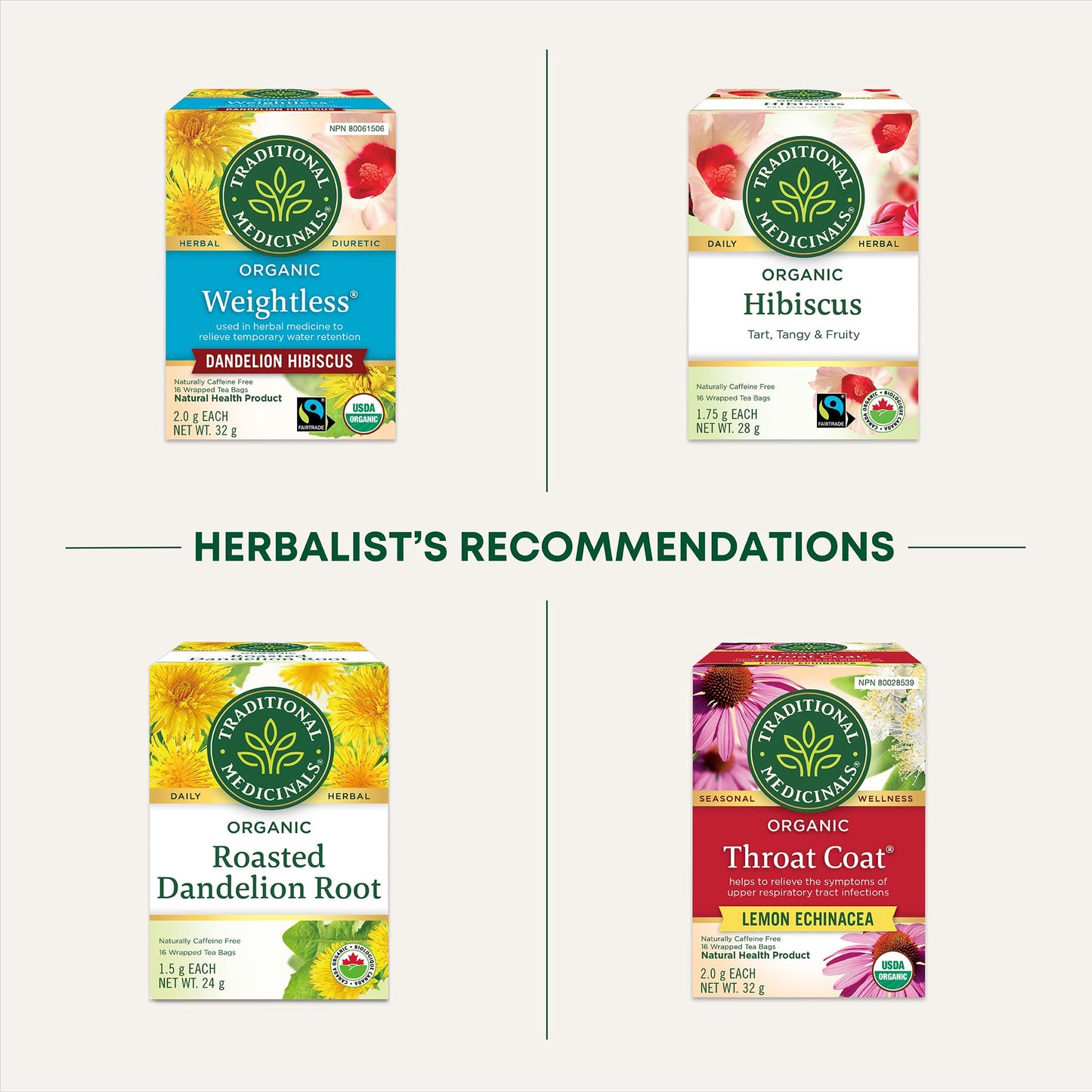 Traditional Medicinals - Tisane biologique de feuilles et racines de pissenlit (Lot de 6) - 96 sachets de thé au total