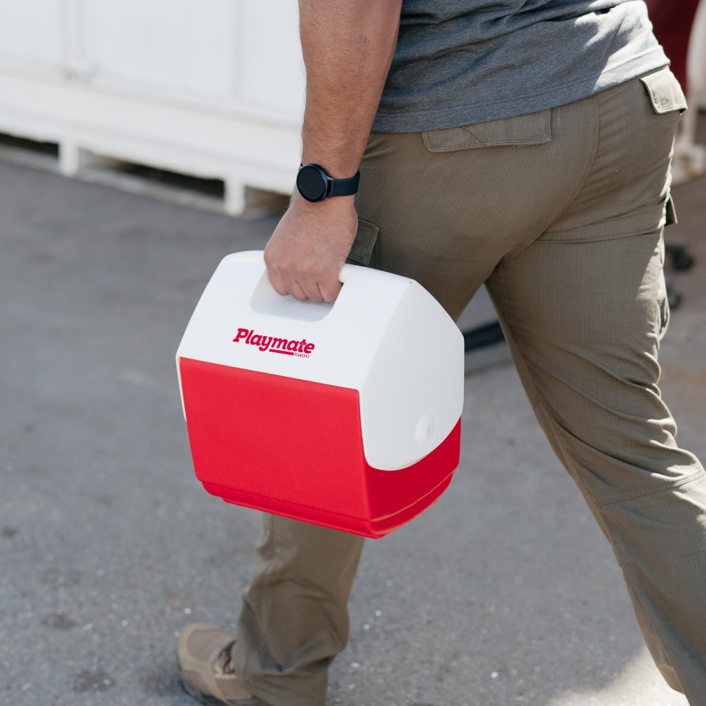 Igloo 7362 11.75 x 8.25 x 12-Inch Playmate PalPersonal Sized Cooler, 7-Quart (Red/White) Igloo