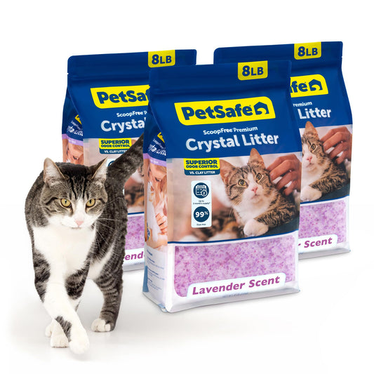 PetSafe ScoopFree Premium Lavender Crystal Cat Litter, 3-Pack – Lightly Scented Litter – Superior Odor Control – Low Tracking for Less Mess – Lasts Up to 6 Months, 24 lb Total (3 Pack of 8 lb Bags) 🍁 All In One Marketplace Canada