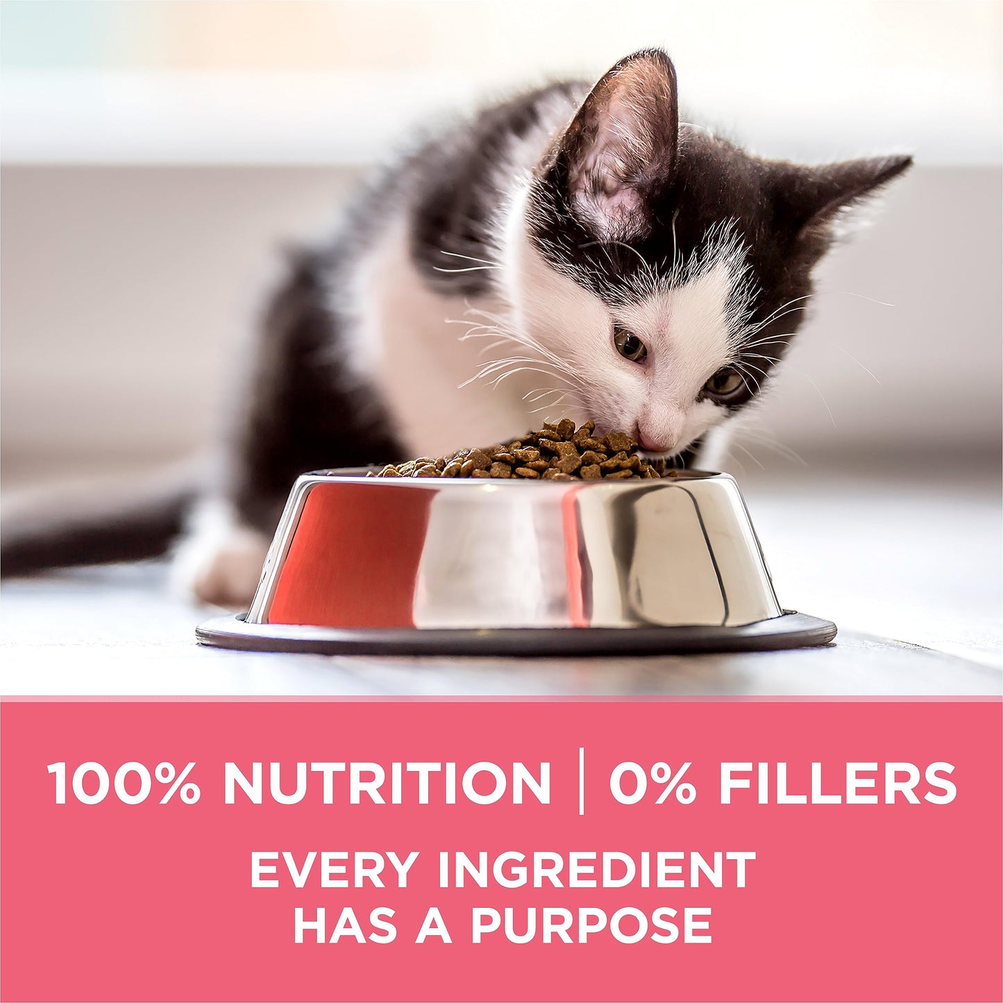 Purina ONE +Plus Dry Kitten Food, Healthy Kitten with Chicken 3kg Purina ONE