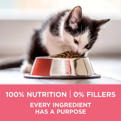 Purina ONE +Plus Dry Kitten Food, Healthy Kitten with Chicken 3kg Purina ONE