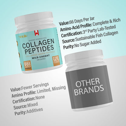 Marine Collagen Powder 567g (Type 1 & 3), Wild-Caught Fish Collagen Peptides, Hydrolyzed, Unflavored, Naturally Derived Marine Taste, Made in Canada, Skin, Joints, Hair & Nails Support - Available at All In One Marketplace Canada