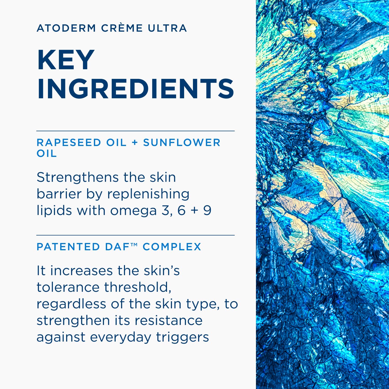 Bioderma Atoderm Ultra Cream Hydrating Body for Normal to Dry Skin Bioderma