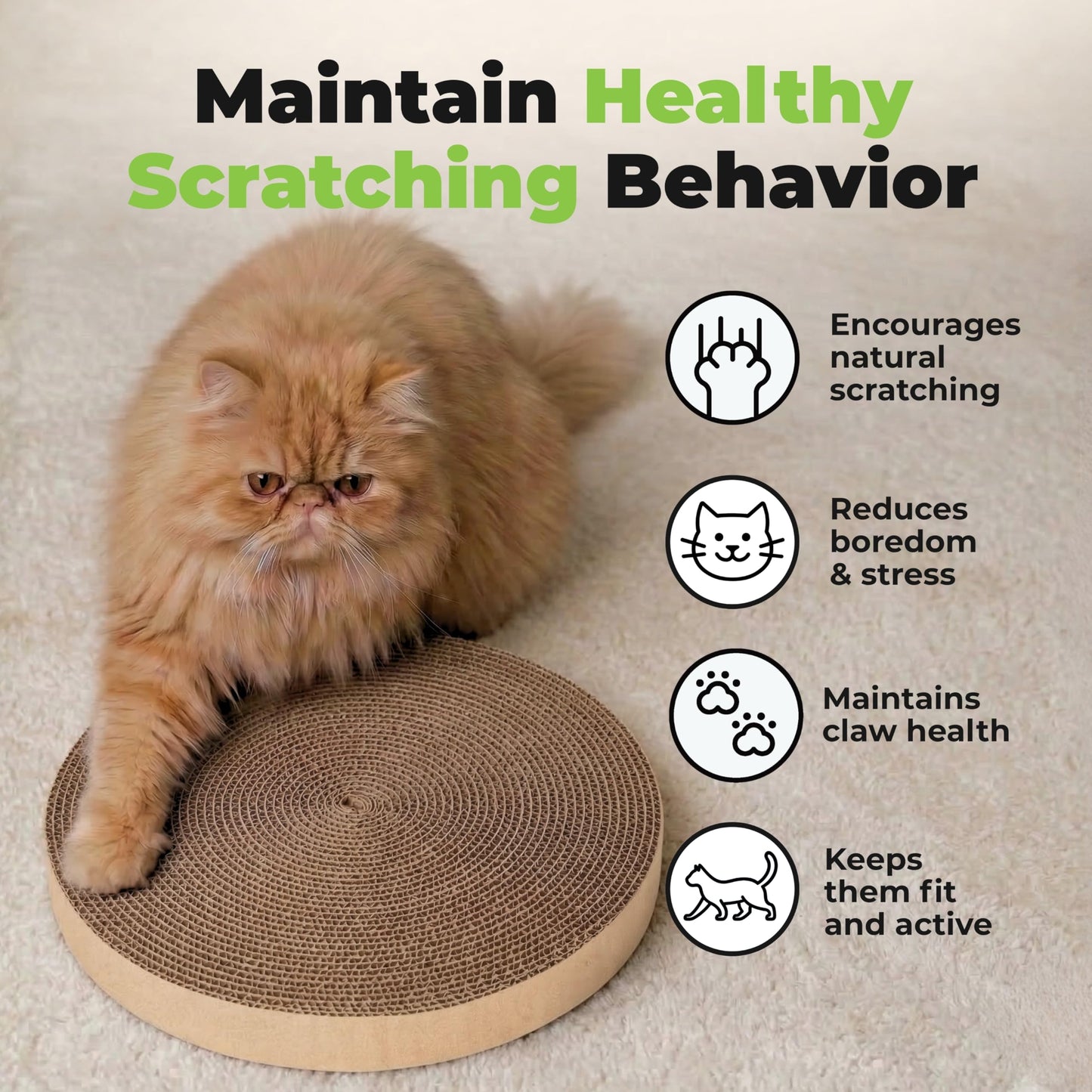 Best Pet Supplies Catify by Best Pet Supplies Spin and Scratch Replacement Pads (5 Pack) Best Pet Supplies