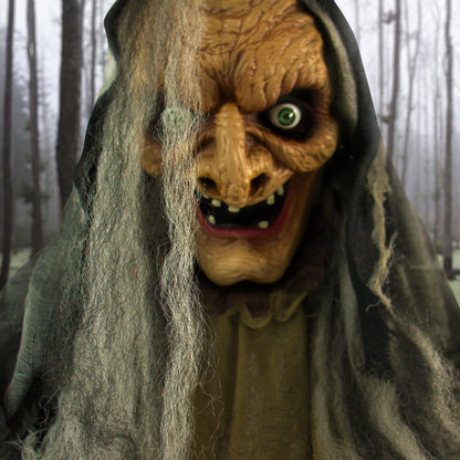 Haunted Hill Farm Life-Size Scary Poseable Talking Witch, Halloween Animatronic with Touch Activated Lights and Sound, Battery Operated Indoor or Covered Outdoor Halloween Decorations, Halloween Prop