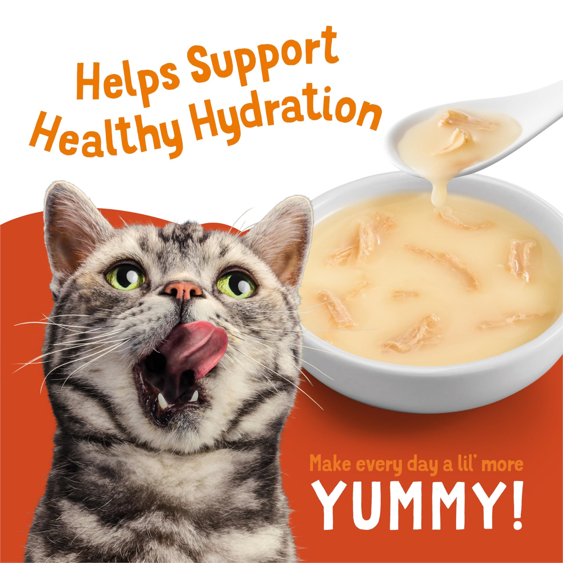 Friskies Lil' Soups Cat Treats, Fish-a-Licious 34g Cups (18 Pack x 2) Friskies