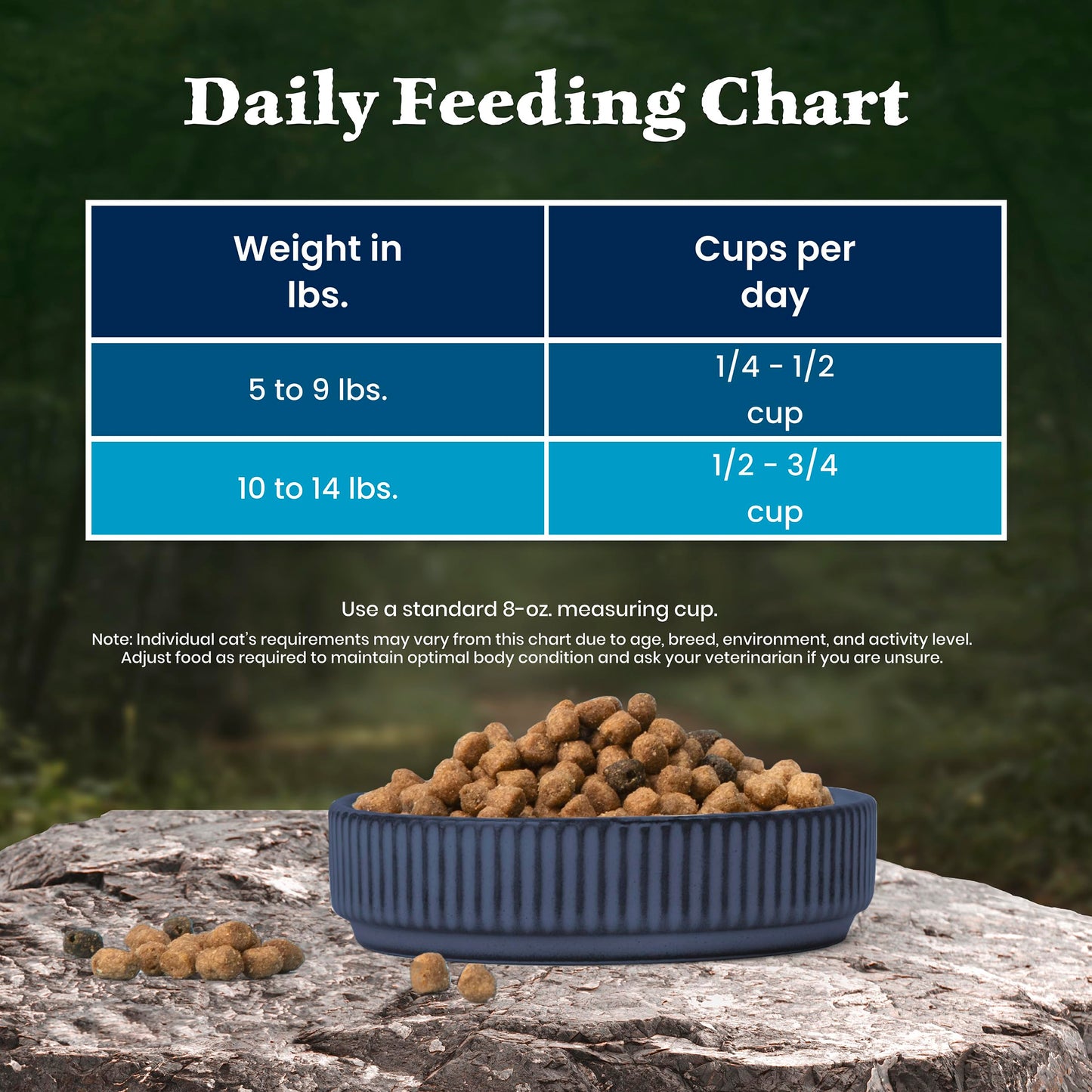Blue Buffalo Wilderness with Salmon Natural High-Protein Grain-Free Dry Food for Adult Cats, Real Salmon First, Antioxidant-Rich LifeSource Bits Support Immunity, Promotes Strong Muscles,11 lbs.