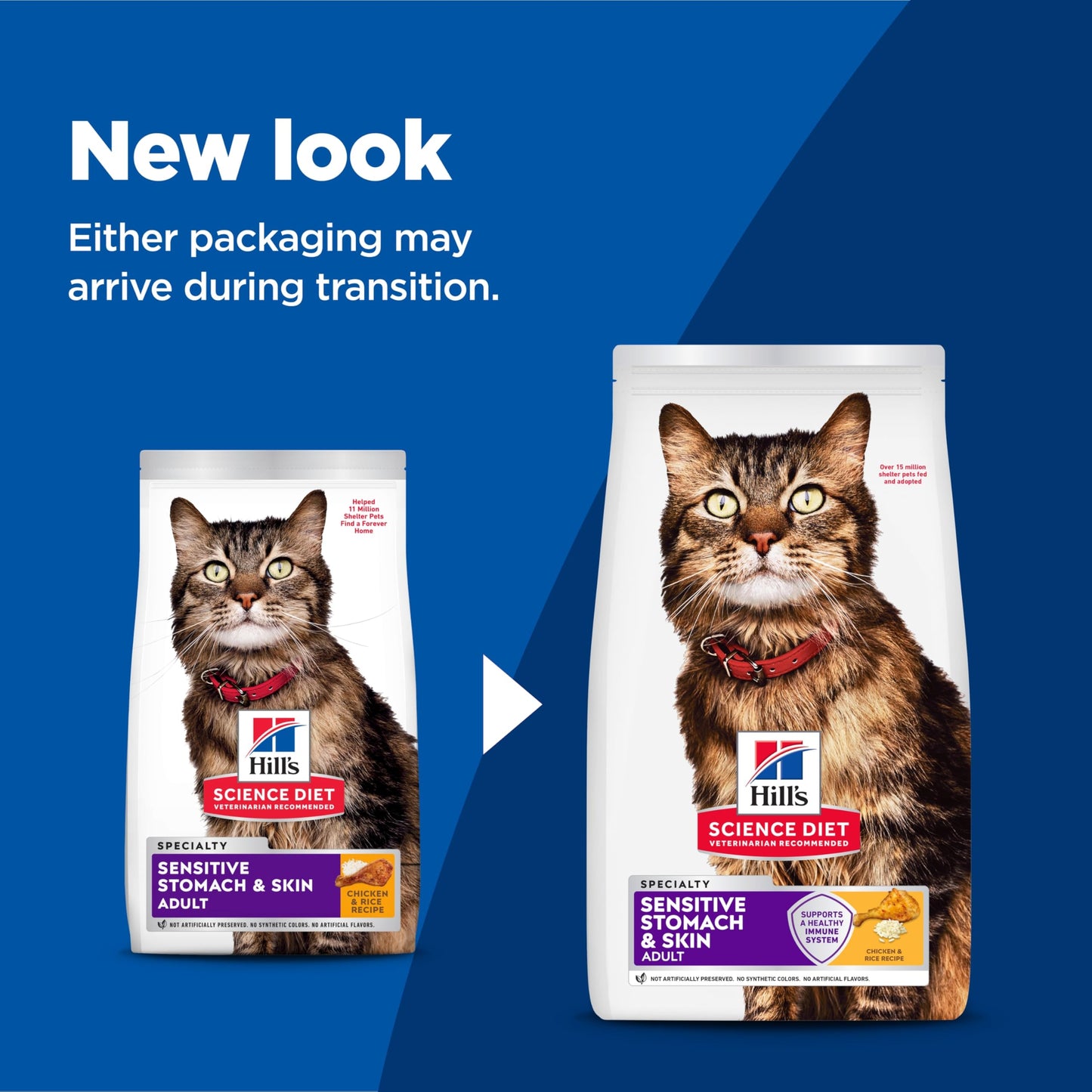 Hill's Science Diet Adult Sensitive Stomach & Skin Chicken & Rice Recipe Dry Cat Food 3.17 kg Bag