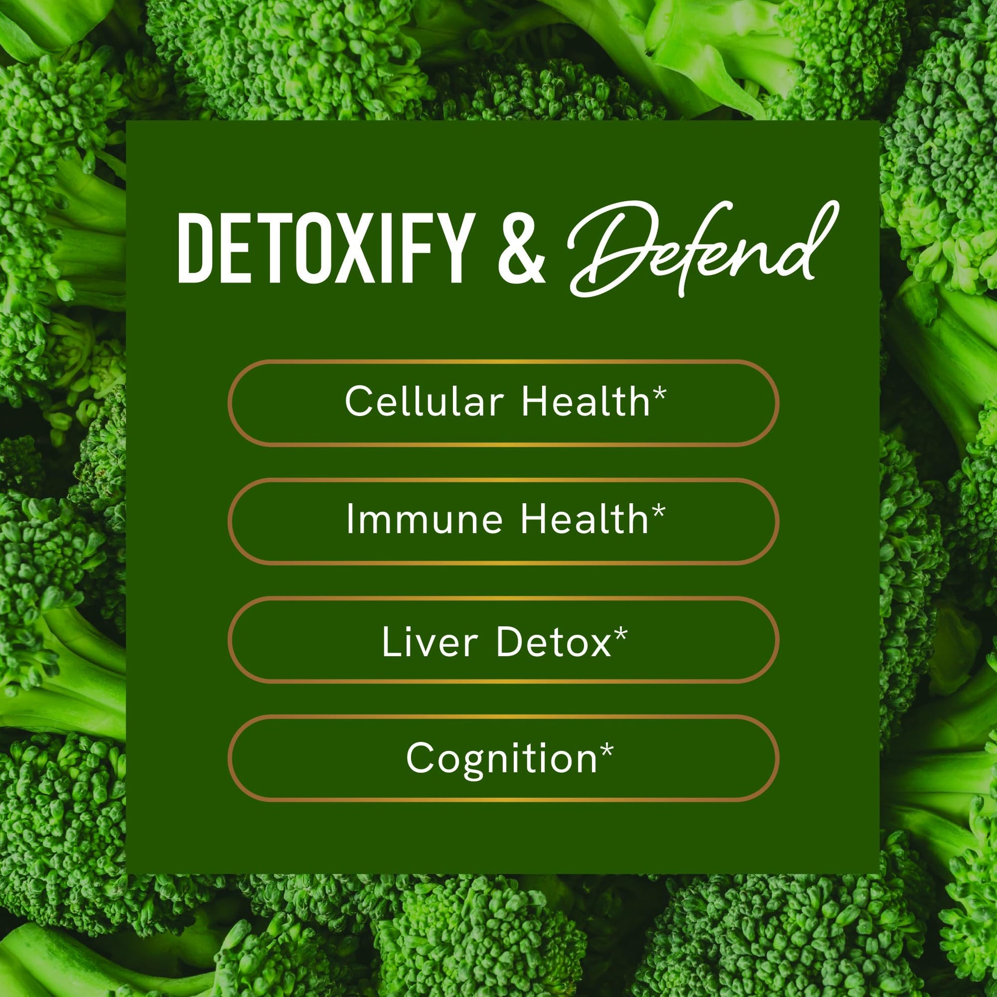 Sulforaphane Supplement from Broccoli Sprouts | 405mg Complex | NRF2 Activation With Glucoraphanin, Broccoli Seed Extract, & Mustard Seed | Supports Cellular Health with Antioxidants | 60 Capsules - Available at All In One Marketplace Canada