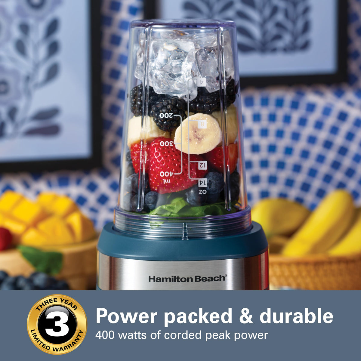 Hamilton Beach Personal Blender with Two 14 oz. Blend & Go Jars,250 Watts, Kitchen Makover Blue, 51202J