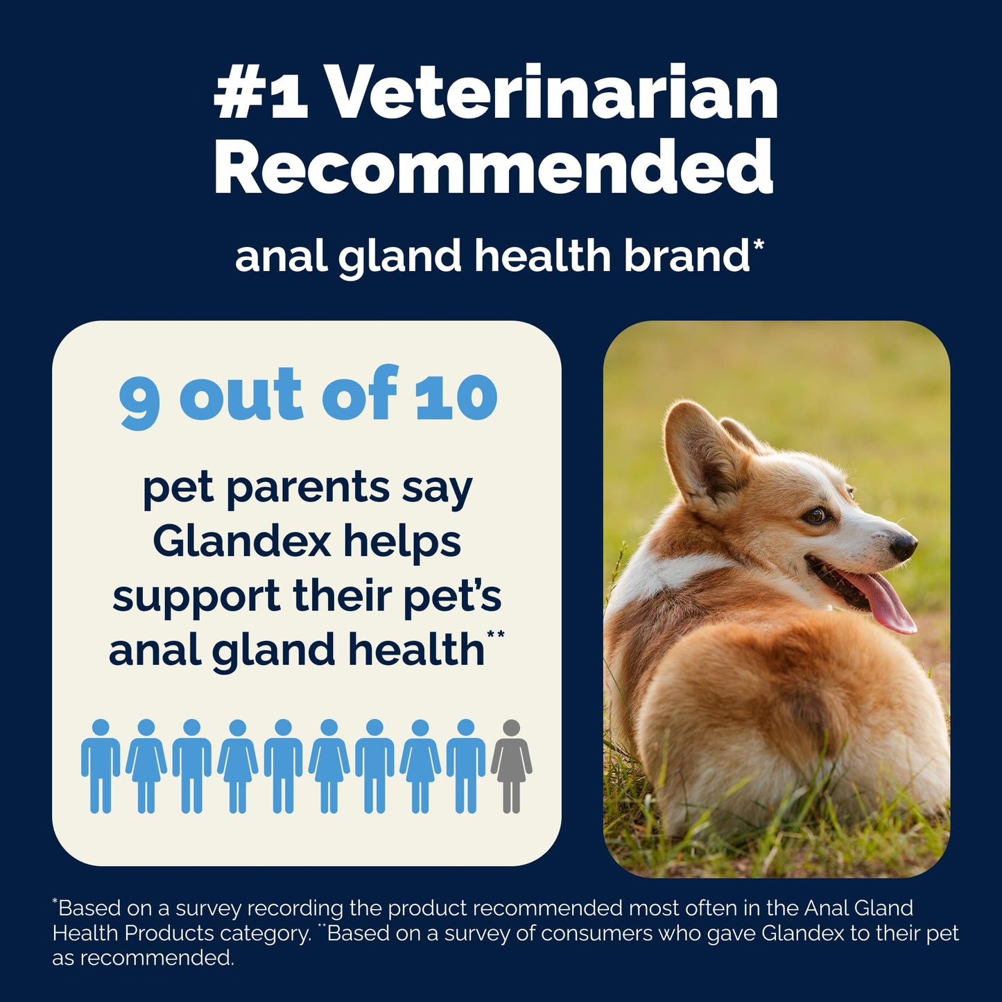 Glandex Anal Gland Soft Chew Treats with Pumpkin for Dogs Chews with Digestive Enzymes, Probiotics Fiber Supplement for Dogs – Vet Recommended - Boot The Scoot (Peanut Butter, 120ct Chews)
