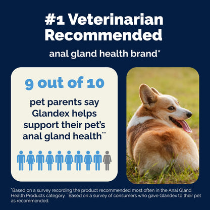 Glandex Anal Gland Soft Chew Treats with Pumpkin for Dogs Chews with Digestive Enzymes, Probiotics Fiber Supplement for Dogs – Vet Recommended - Boot The Scoot (Peanut Butter, 120ct Chews)