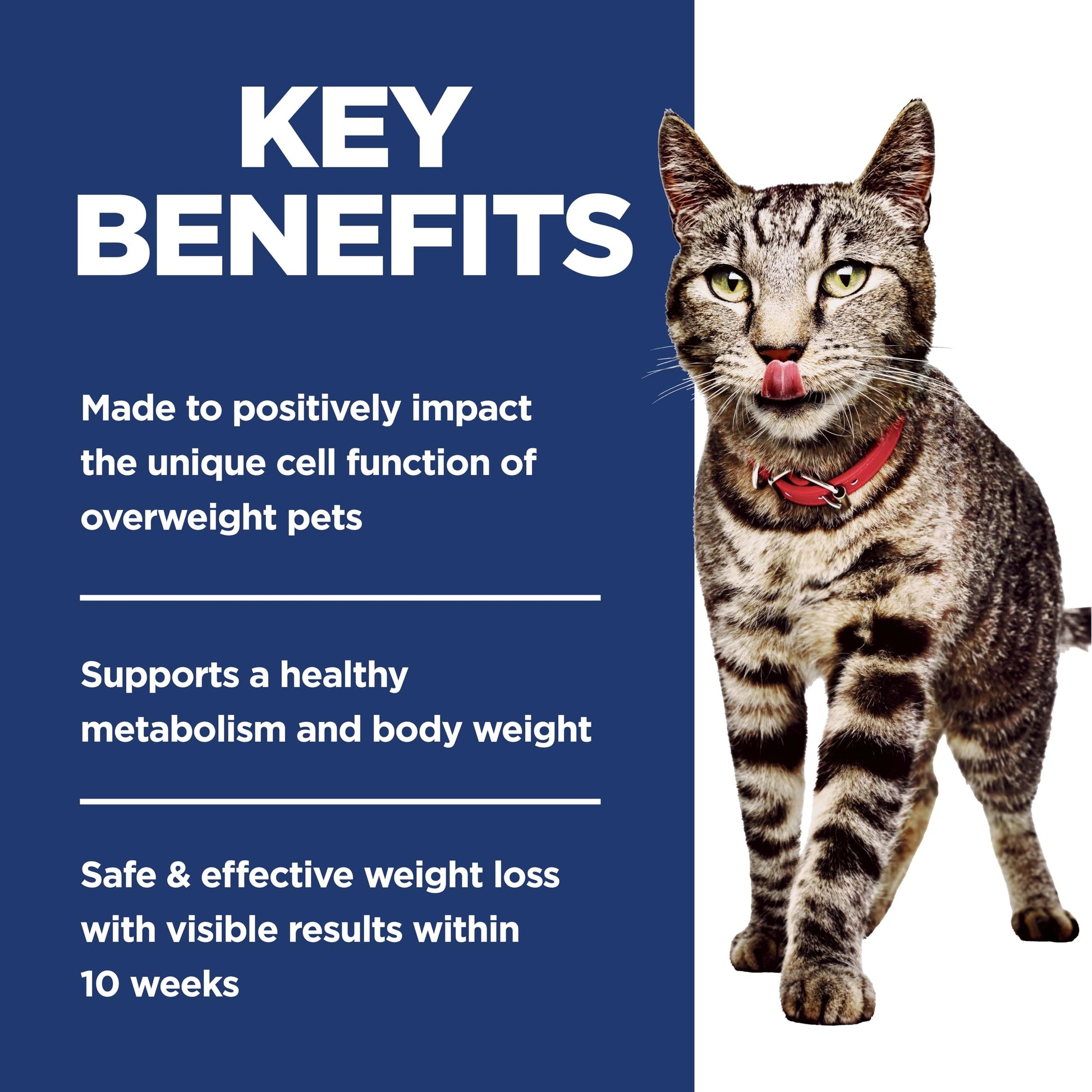 Hill's Science Diet Adult Perfect Weight Chicken Recipe Dry Cat Food 6.8 kg Bag