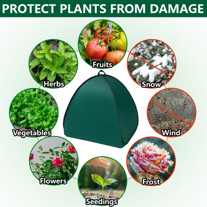 2Pcs Pop-up Shrub Cover Frost Protection Tent Plant Cover Freeze Protection 🍁 All In One Marketplace Canada