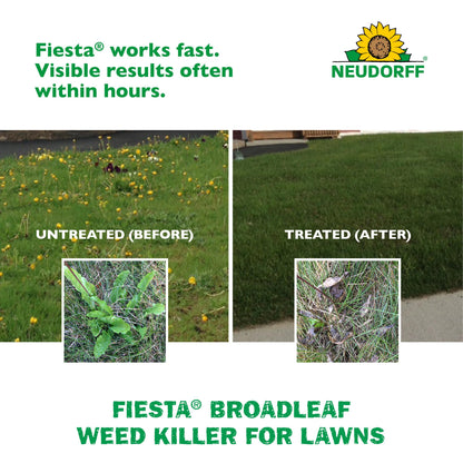 Fiesta Broadleaf Weed Killer for Lawns, Controls Dandelion, White Clover, & More & See Result within Hours. People & Pets Can Enter Treated Area when Spray Dries, Made with Iron, Rainfast in 3 Hours.