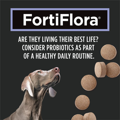Purina Pro Plan Veterinary Supplements, Dog Probiotic Tablets - 158 g (90 Tablets) 🍁 All In One Marketplace Canada