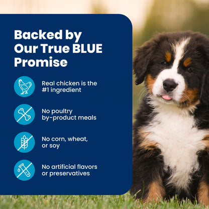 Blue Buffalo Life Protection Formula Chicken & Brown Rice Large Breed Puppy Dry Dog Food with DHA & ARA, Supports Immunity with LifeSource Bits, Promotes Healthy Muscles & Strong Bones, 11.7kg/26 lbs
