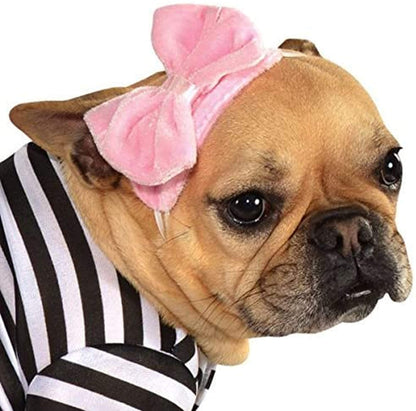 Costume pour animal de compagnie Halloween Classics Collection de Rubies Costume Co, taille moyenne, robe de fille des années 50