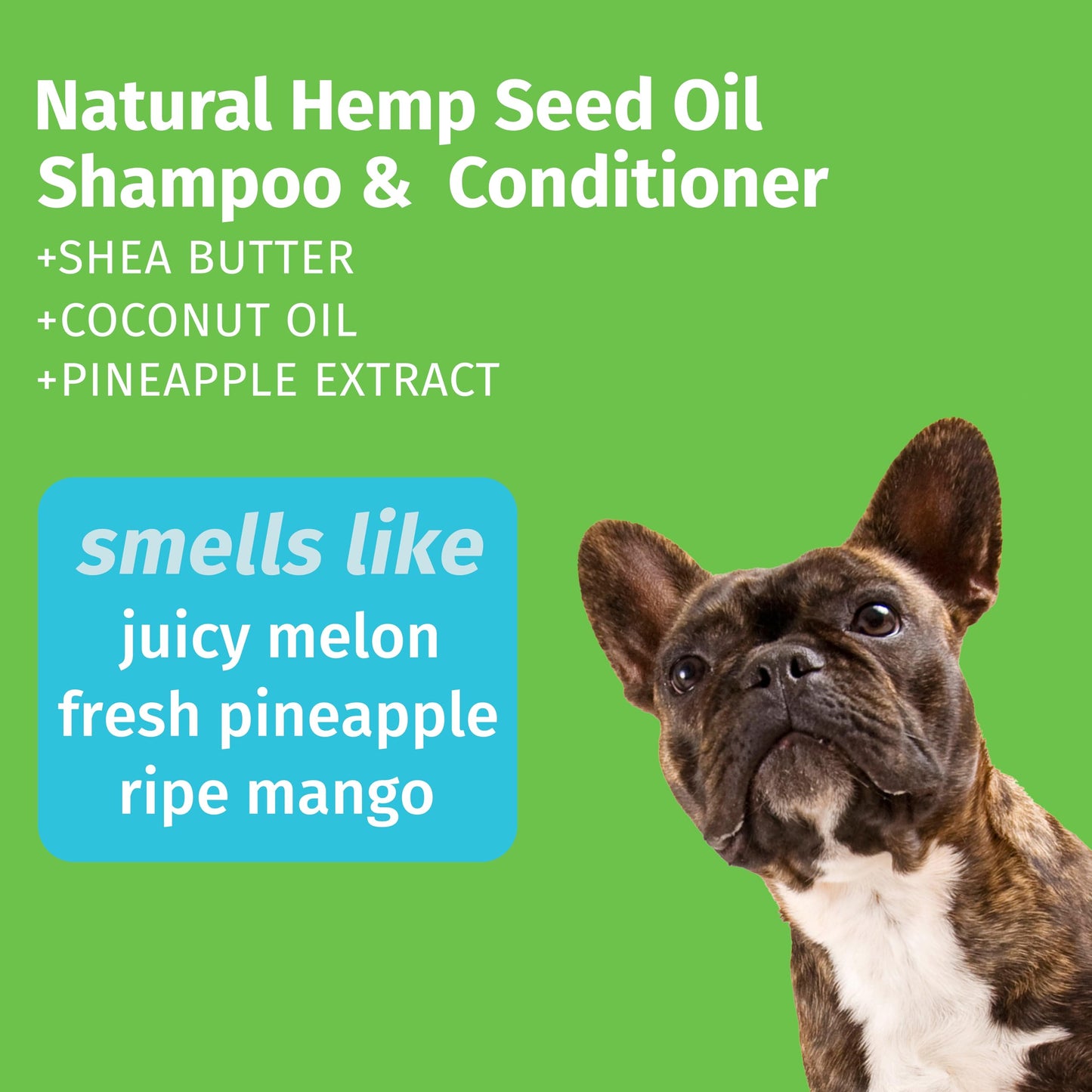 Hempz Petz, Dog Shampoo & Conditioner, Sweet Pineapple Honey Melon 2-in-1 Shampoo and Conditioner, Cleans, Conditions & Moisturizes, 17 fl. Oz HEMPZ