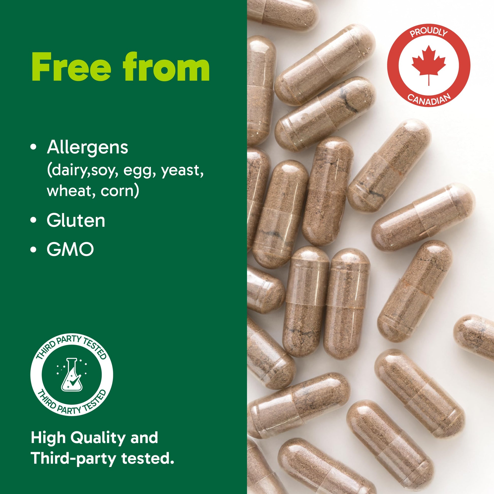 Organika Canadian-Made Chanca Piedra 500 mg - UTI Support | Kidney, Gallblader and Urinary Support, Cleansing- 90 vcaps Organika